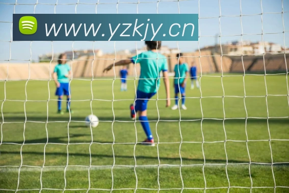 华体官网登录入口平台发展历程